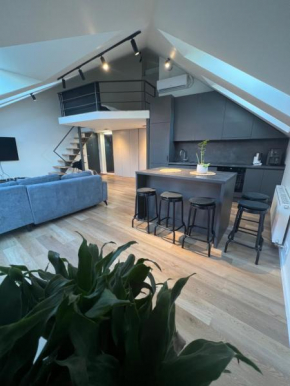 LOFT 1 BD Castle Apartament with free parking